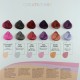 Alter Ego Passion Color Mask Paleta kolorów | Karta kolorów 2024 NOWA